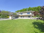 Wertvoller Fund Rohdiamant mit grossem Potenzial an...