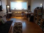 West Broadway 1 Bed 1 Bath Apartment August 1st