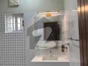 West open 500 square yard independent house for rent... West open 500 square yard independent house for rent...