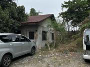 Westbank Rosario Pasig Lot For Sale