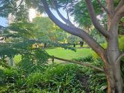 Westpark Apartment overlooking beautiful park and...