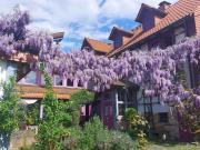 WG Domizil im alten Ortskern von Kassel Oberzwehren