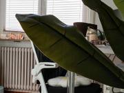 WG Zimmer ab Dezember 2025Januar26Februar26