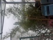 WG Zimmer mit 1 Schlafzimmer Graz 8045 DS66930069