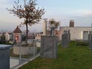 WG Zimmer mit 3 Schlafzimmer Wien 1100 DS95787775 WG Zimmer mit 3 Schlafzimmer Wien 1100 DS95787775