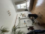 WG Zimmer mit 4 Schlafzimmer Wien, 02. Bezirk,...