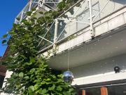 WG Zimmer Souterrain Wohnung