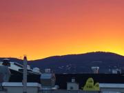 WG Zimmer Wien 1020 DS97029906