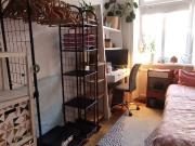 WG Zimmer zur Zwischenmiete