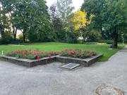 WGs Willkommen in 3 Zimmer Wohnung ab 500 EUR