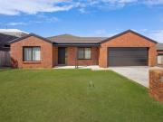 What Everyone Is Looking For