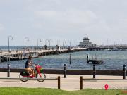 When only the best will do!