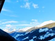 When snow falls, nature listens.