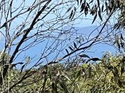 Where the Eagles Soar