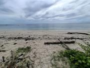 White Sand Beachfront Property For Sale — Camotes...