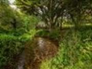 Whitechurch Road, Rathfarnham, Dublin 16, D16X700