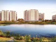 Whitefield 2 BHK Apartment For Sale Bangalore