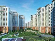 Whitefield 3 BHK Apartment For Sale Bangalore