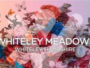 Whiteley, Whiteley Meadows, Southampton, 2 Bedroom House