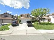 Whitetail, ANTIOCH, CA 94531