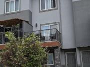 Whole house for rent 4 beds 3 bath, 2 car garage in...