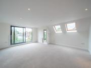 Whole house or rooms avail now in Wimbledon