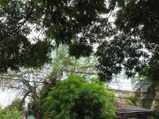 Wide Lot For Sale with 648 sqm Lot Area in Teachers...