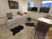 Möbliertes 1 Zimmer Appartment in Bonn Oberkassel!