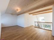 PROVISIONSFREI! WIEN IST EIN DORF Dorf Stadt Oase...