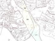 Wiesen und Waldparzellen / prato e bosco