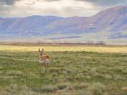 Wild Horse Rnch Lot,laramie, Home For Sale