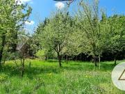 Wildromantisches Grundstück mit charmanten Bauerhof!