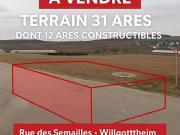 Willgottheim 67370 Achat / Vente terrain