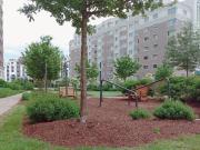 William's Court | Building D&G