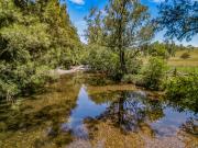 Williams River Frontage Grazing Holding