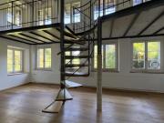 WILLKOMMEN IM PARADIES