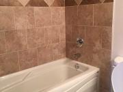 Willow Green Estates 1 Bedroom Apartment for Rent at...