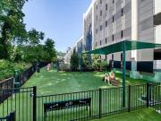 Windsor Morningside B13b