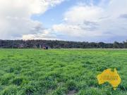 Windsor Park established irrigation, unlimited water...