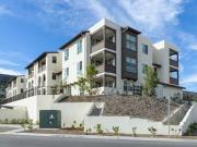 Windsor Rancho PQ C2 3