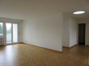 Wir suchen genau Sie! 2 monate gratis! Dreamo. Ch