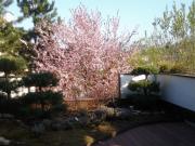 Wo Luxus auf Natur trifft Villa mit Seele und Stil Top...
