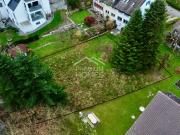 WO TRÄUME WURZELN SCHLAGEN