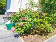 Wohlfühloase in 1220 Wien: Gepflegtes Haus mit Garten,... Wohlfühloase in 1220 Wien: Gepflegtes Haus mit Garten,...