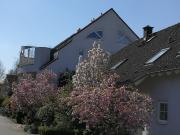 Wohlfühloase in übrzeugender 3,5 ZKBBTK in Mannheim... Wohlfühloase in übrzeugender 3,5 ZKBBTK in Mannheim...