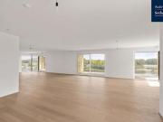 Wohn T raum am Wasser: Penthouse an der Donau