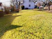 Wohnen am Freudenberg!