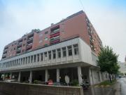 Wohnen am See mitten in Luzern