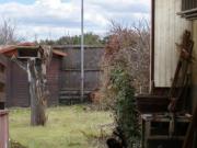 Wohnen am Stadtrand Nähe Lobau