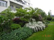Wohnen an der Limmat / 3 Zimmerwohnung an ruhiger Lage